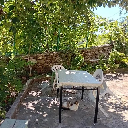 Stone Pazar Guest House Gjirokaster Exterior photo