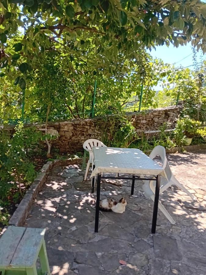 Stone Pazar Apartment